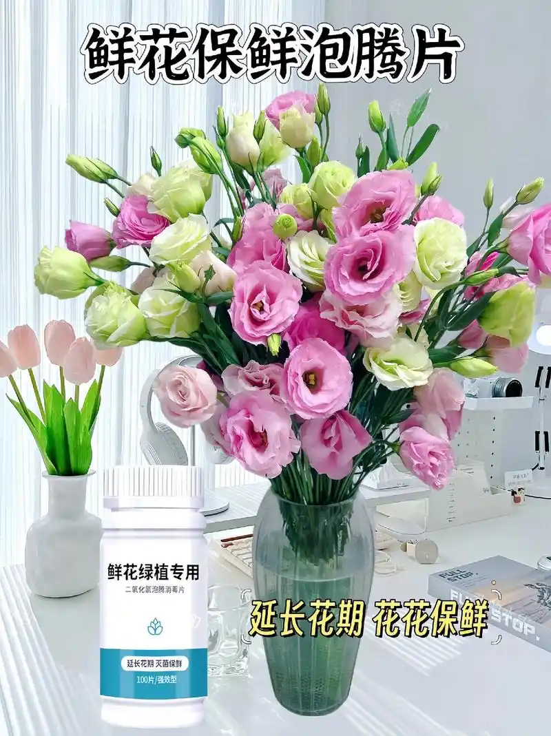 二氧化氯鲜花保鲜泡腾片