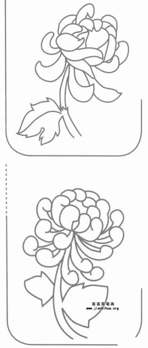 幼儿园简笔画秋天的花朵