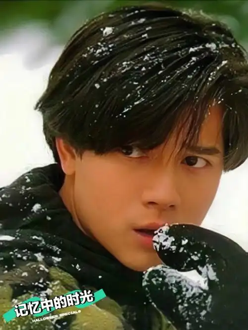 青春无敌帅的郭富城