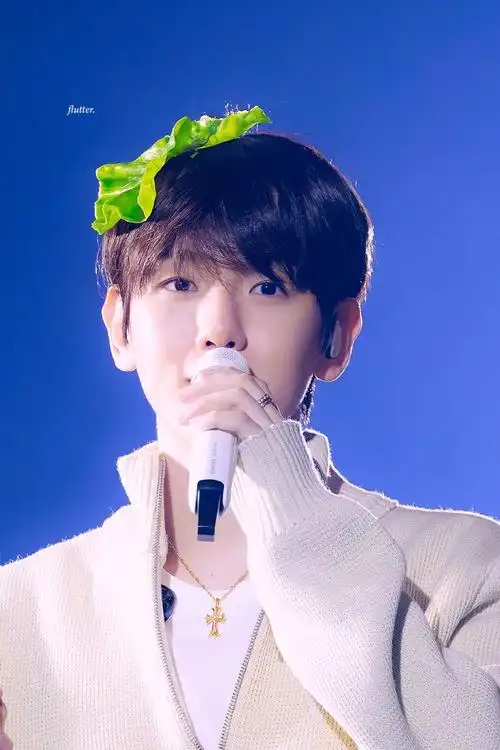 边伯贤亚洲巡演##边伯贤