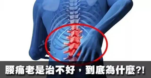 老年人腰痛主要是什么原因呢腰痛