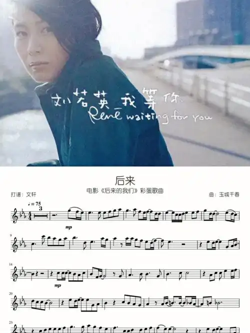 刘若英后来长笛提琴谱有伴奏