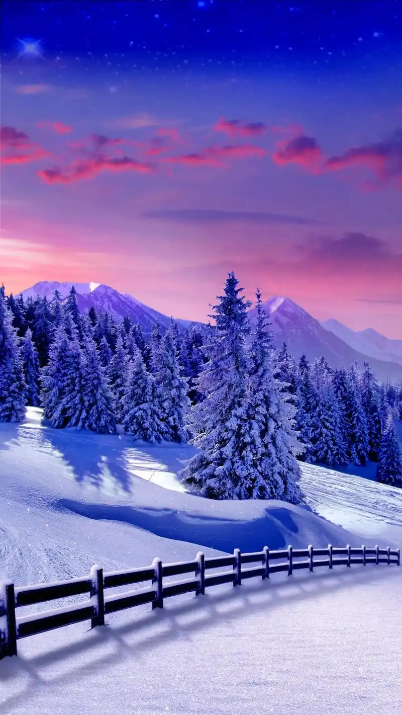 四季轮回,岁月流转,美好都将在冬天沉淀#唯美意境 #雪景 # - 抖音