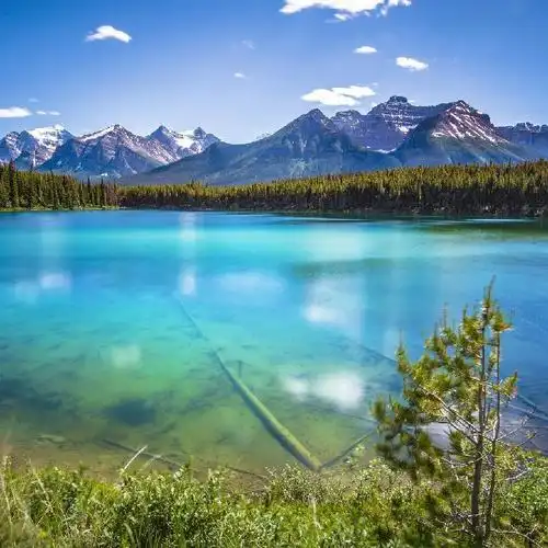 简单而走心的图片头像 高清好看独一无二唯美的图片头像_微信头像