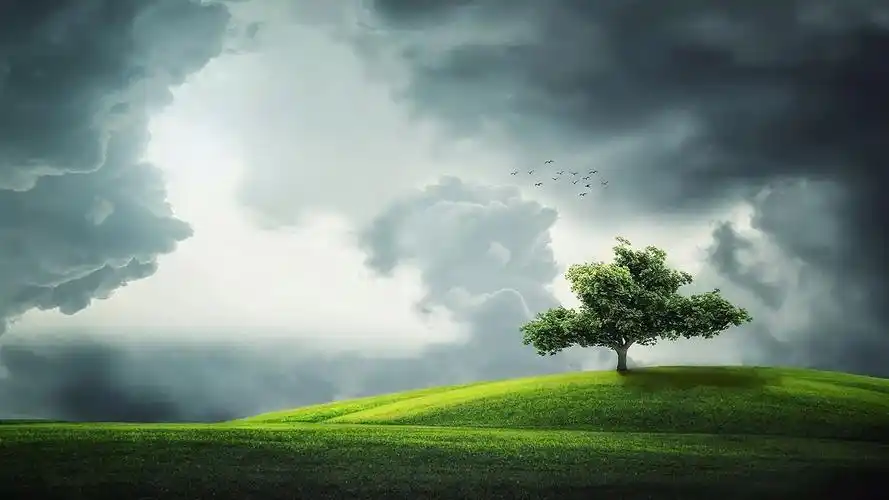 描述: 在一座小山上孤树-高质量高清壁纸 当前壁纸尺寸: 1366 x 768