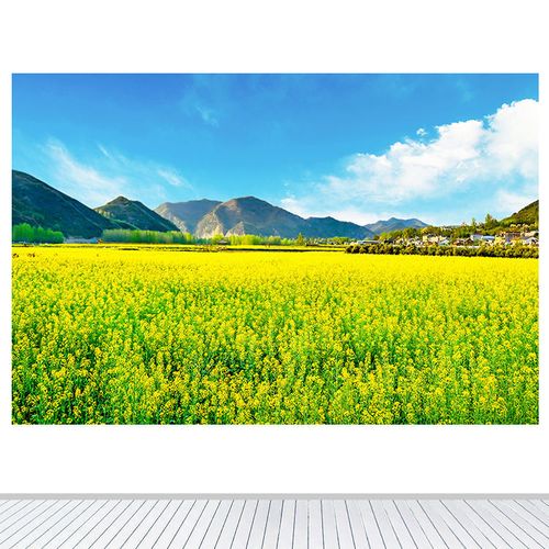 自然风景蓝天白云春天油菜花自然唯美风景装饰画客厅书房墙贴画