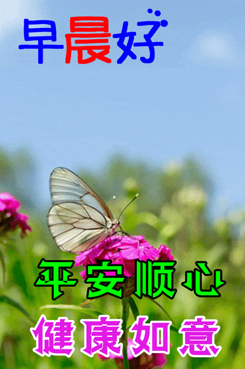 原创4月最新特漂亮早上好鲜花带字带祝福语最美春日早安问候祝福动态