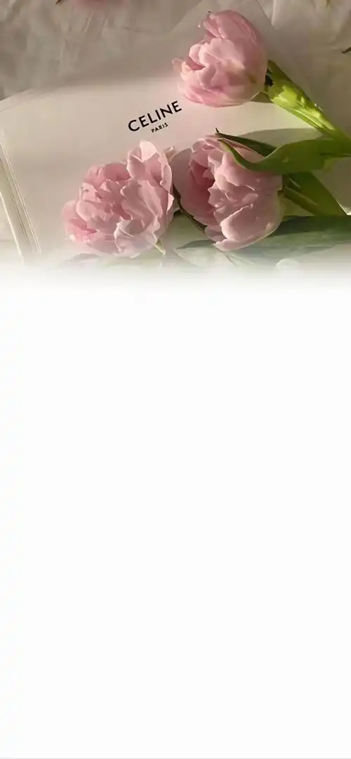 小红书最火微信聊天背景图