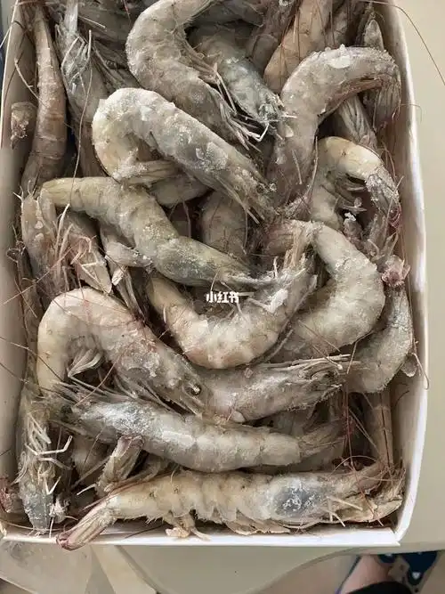 冷冻虾