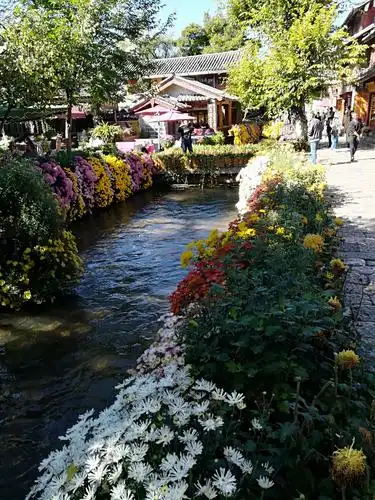 城中河边满眼尽是鲜花