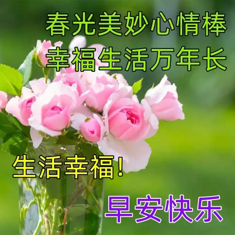 清晨慰问大家的早上好漂亮图片表情图,暖心早上好问候短信