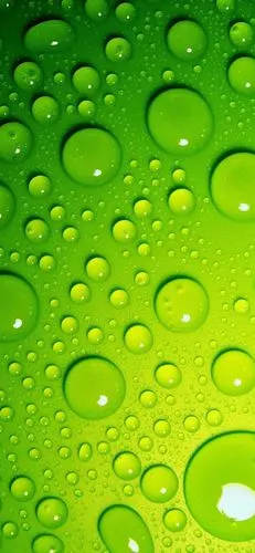 夏日小清新壁纸分享