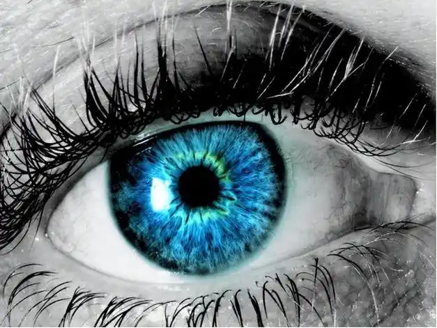 人类最稀有的眼睛颜色,1千万人中才有1个,你都见过几种?|银色|虹膜|色