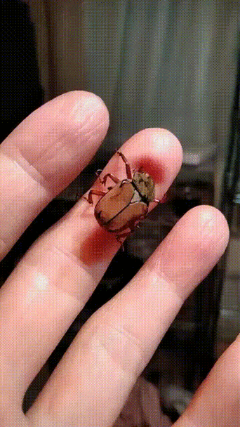 360_640竖版 竖屏gif 动态图 动图