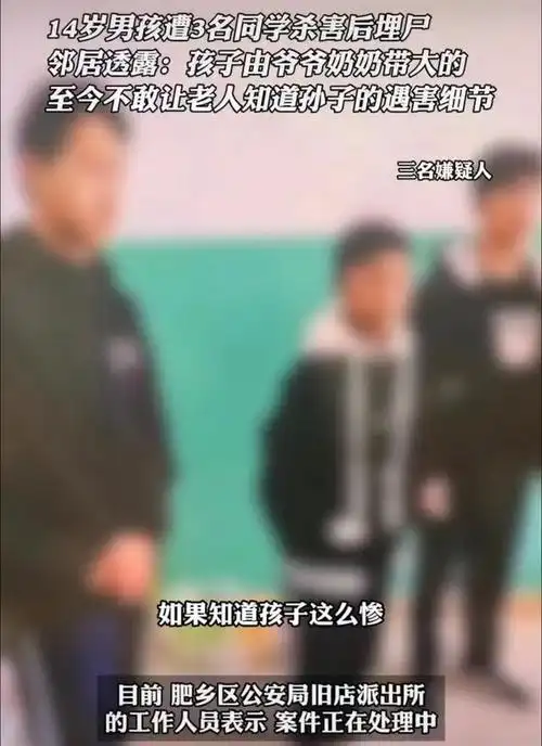 河北初中男孩遭遇三名同学杀害家属发声求助更多细节被扒