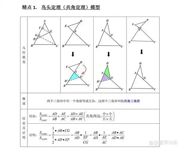 中考数学:鸟头定理(共角定理)