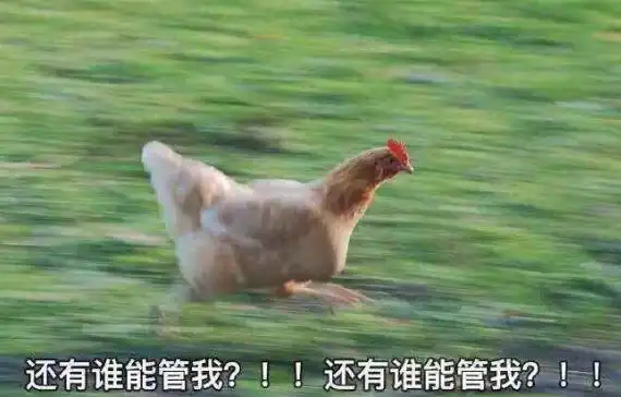 安静如鸡是什么意思?安静的像只鸡是什么梗?安相机粉丝圈常用词(图2)