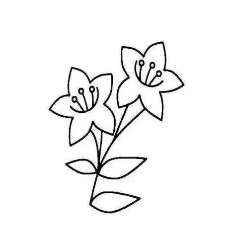 各种简笔画百合花的画法百合花简笔画图片