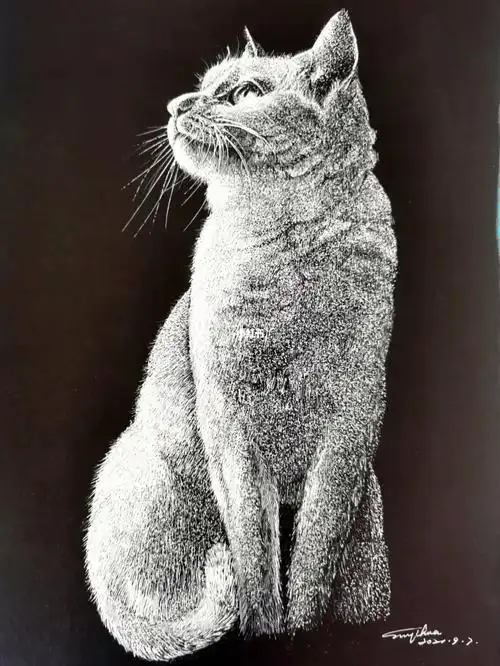 黑卡高光笔画完了_高光笔_钢笔_绘画_寻找小红书绘画大神_兴趣爱好