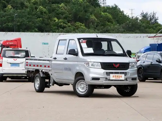 五菱荣光新卡 2020款 1.