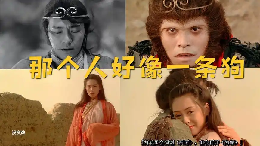 朱茵:"那个人好像一条狗哦"