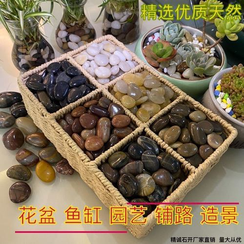 天然鹅卵石五彩石雨花石小石子鱼缸造景石花盆多肉园艺铺路5斤装