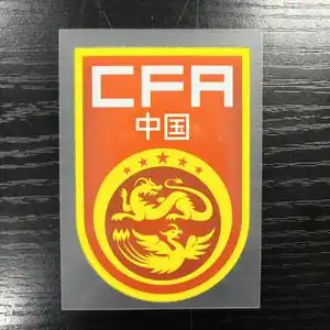 中国国家足球队队徽,烫印标志,球衣logo,深圳武汉重庆富力贵州