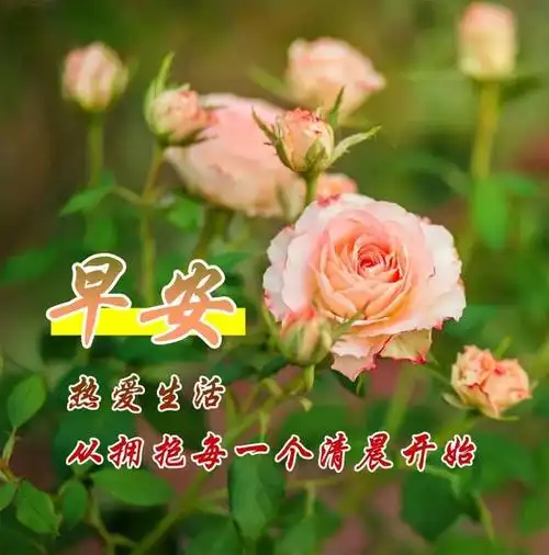 睁开眼,缓一缓;快起床,伸懒腰;笑一笑,美好的一天又开始了.