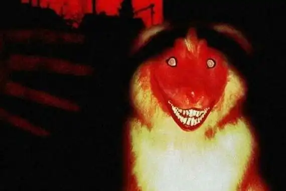 微笑狗恐怖事件死了多少人 事件原图为什么吓人-走红网