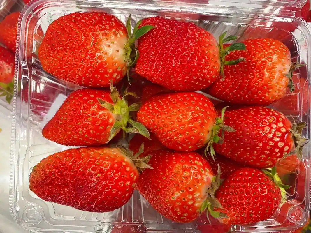 草莓今日特惠15一盒晴王葡萄特惠168