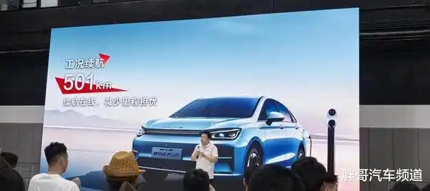 比亚迪|新能源|特斯拉|购车节|北汽eu5pl_网易订阅