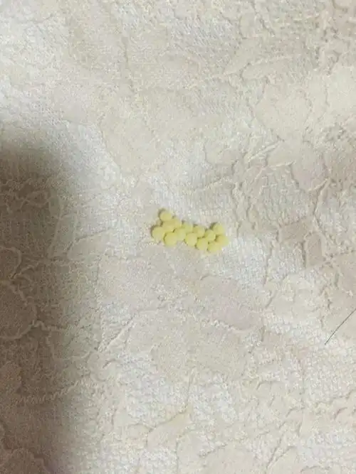 衣柜没有门的,平时看到蚊子比较喜欢在里面,今晚看到衣服上有这玩意