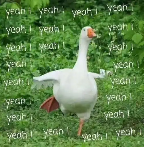 yeahk开心宋民国萌娃gif动图_动态图_表情包下载_soogif