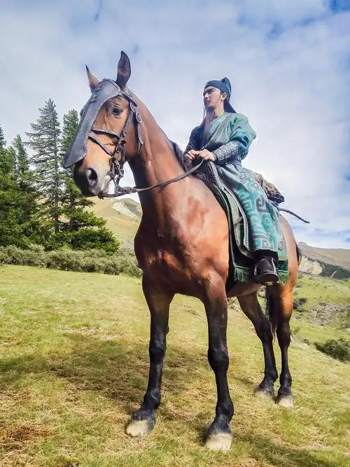 真三国无双官方剧照剧照图片