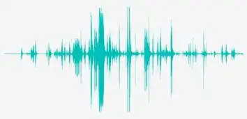 健康领域听风者谛听ai声纹检测五大知识点