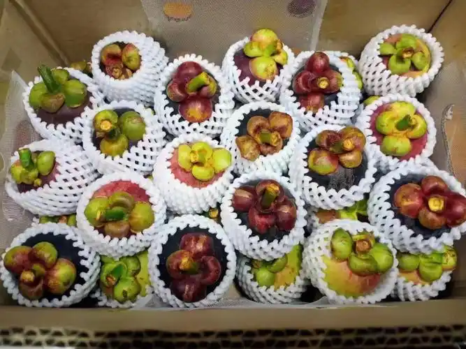 刚刚空运到的山竹