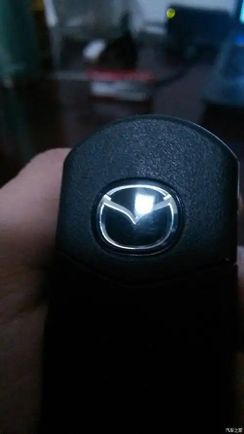 【图】车钥匙标志掉漆太恶心了!_宝马3系论坛_汽车之家论坛