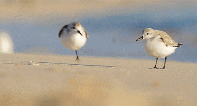 微信跳一跳,那些你玩不出的人生哲理