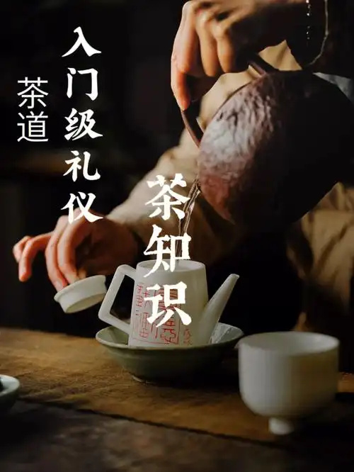 入门级礼仪茶道知识学茶者必看60