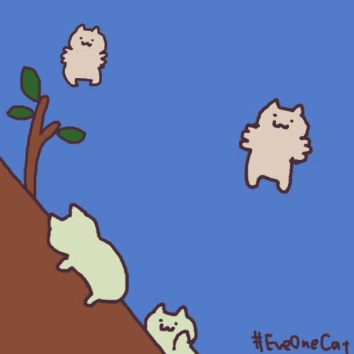 eveonecat猫猫表情包