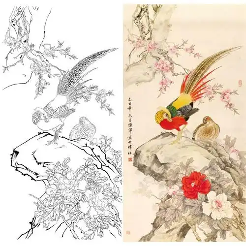 工笔花鸟白描底稿样片对照1