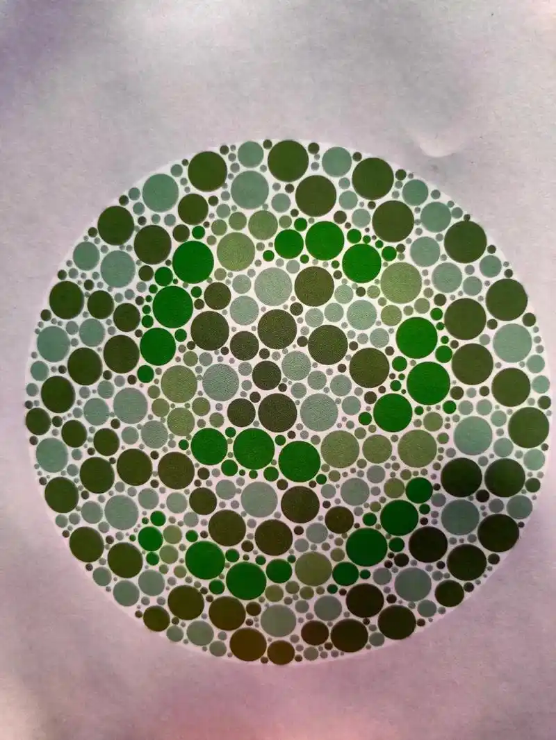 自测!考驾照色盲色弱测试图全攻略 亲爱的