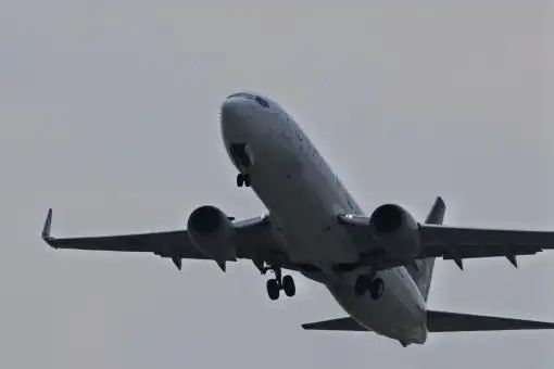 照片素材(图片): 飞机 起飞的 客机 鞠躬 绿茵