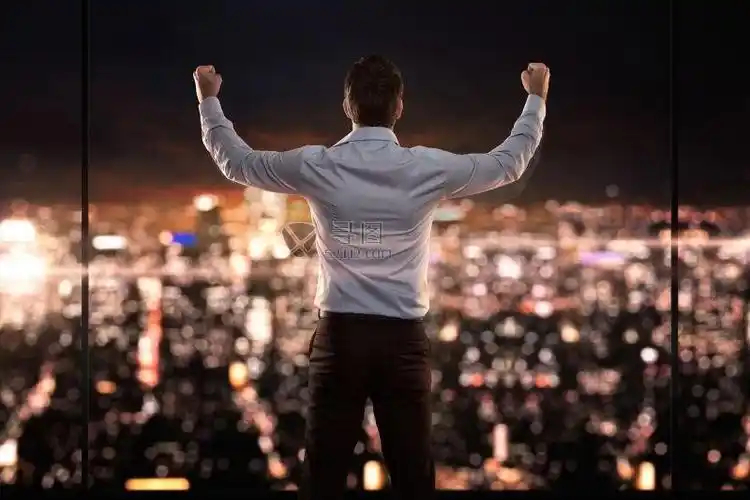 成功的领导隐喻