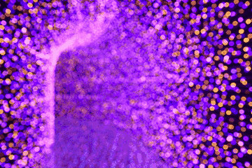 烟花秀表演时间:12月22日,23日,30日,31日 19点开始 06 梦幻星空