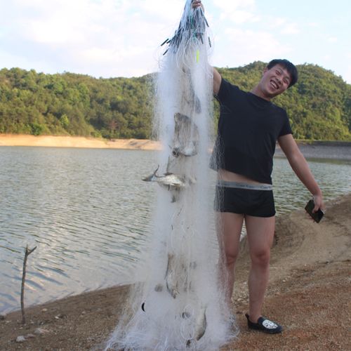 加重三层1.2米1.5米2米高2指3指挂网渔网粘网鲫鱼抓鱼网捕鱼渔具