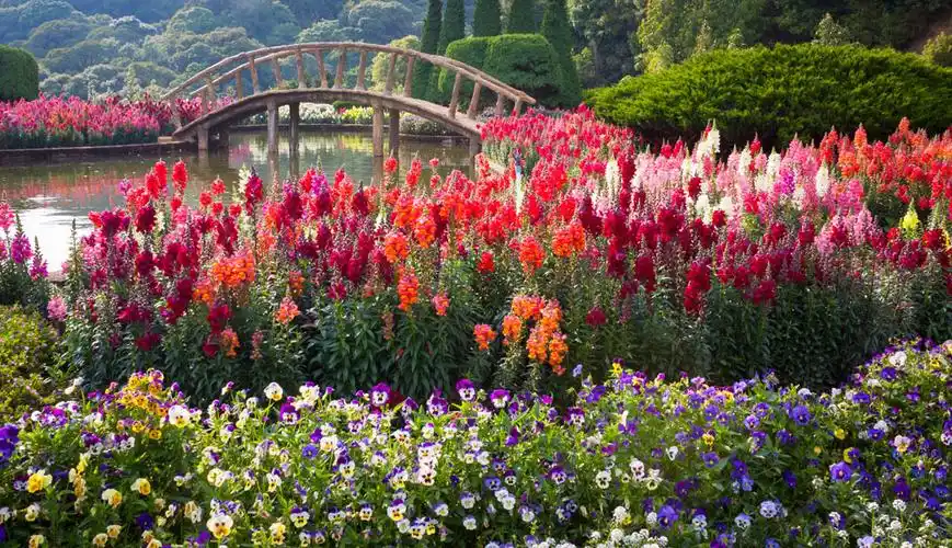 木桥与鲜花草地风景 图片素材下载-花草树木-生物世界-图片素材 - 集