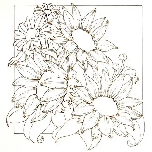 视觉传达手绘花卉素材向日葵上色线稿