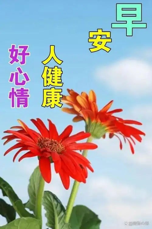 今日最新早安早上好祝福图片带字,愿你开心每一天,健康美好