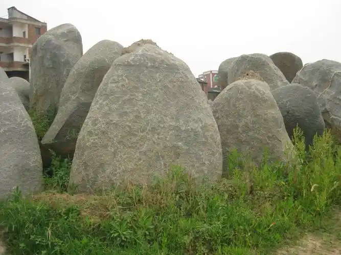 求购绿化工程用的天然景观石.